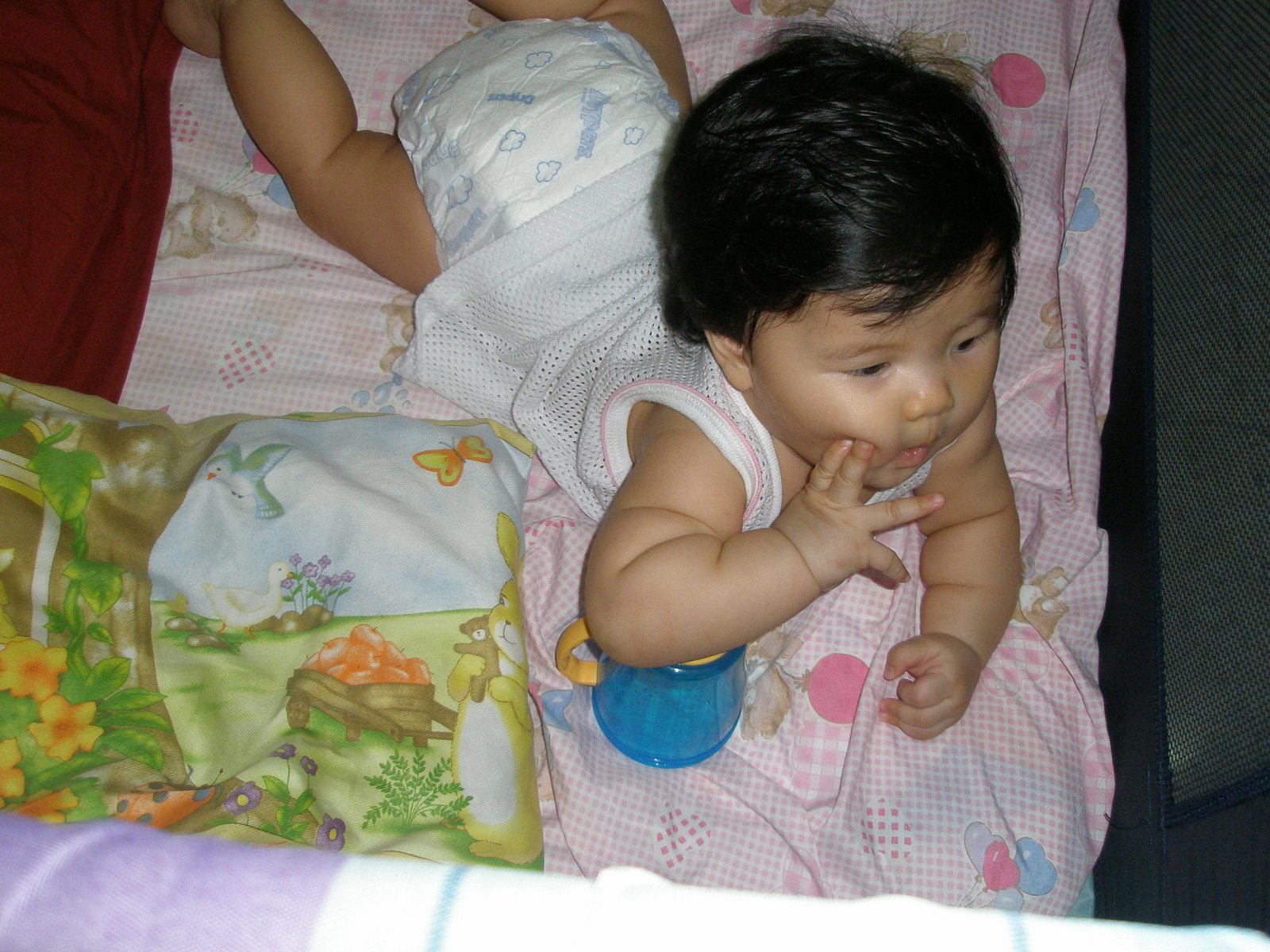 [BBC+and+cup+008.jpg]