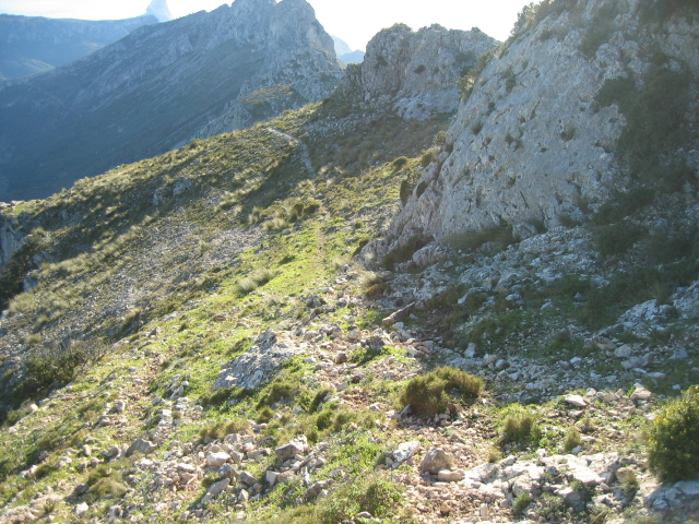[IMG_3658.JPG]