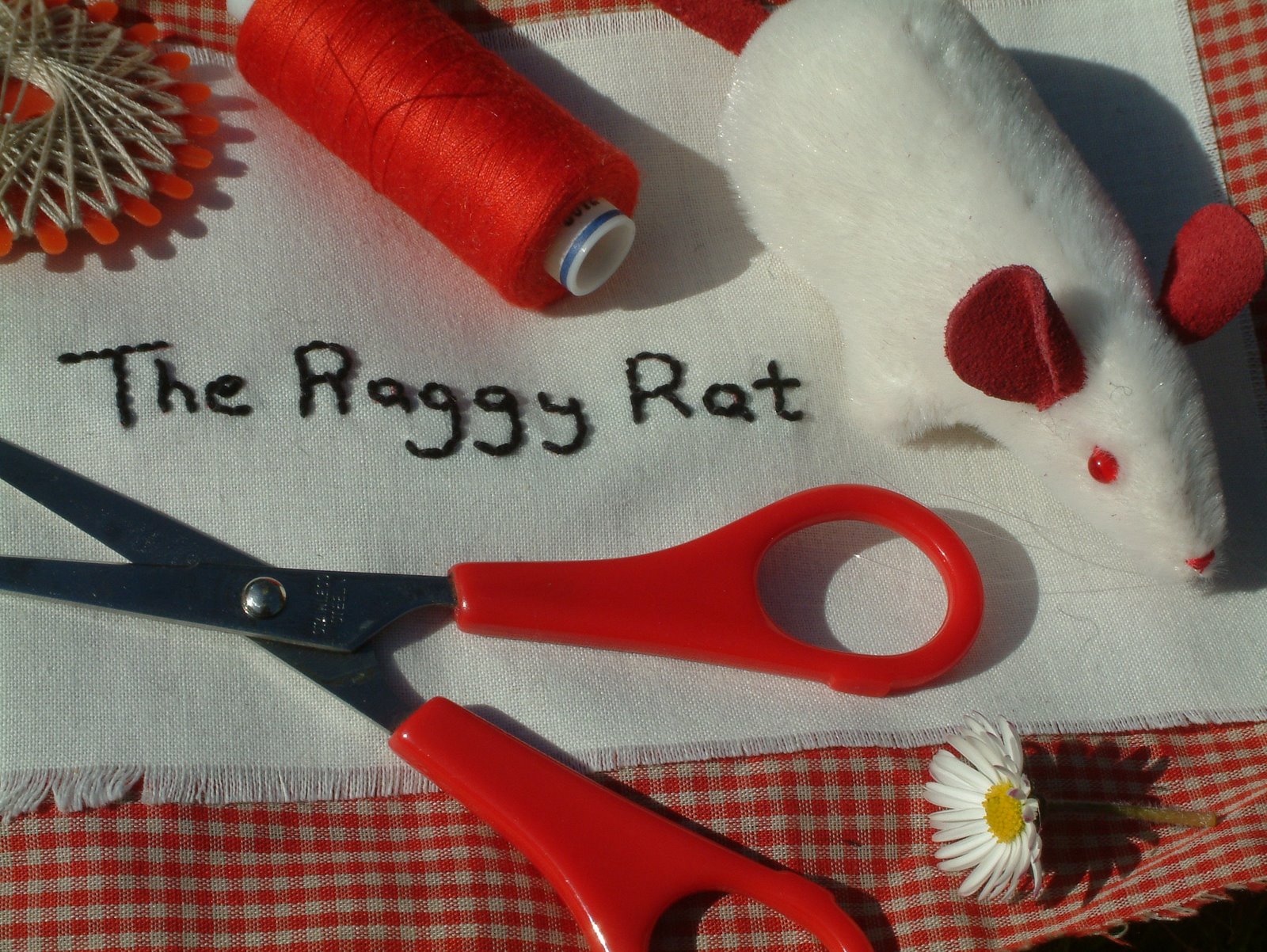 The Raggy Rat ...