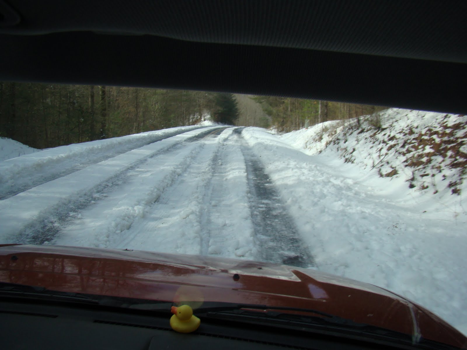 [DSC06137.JPG]