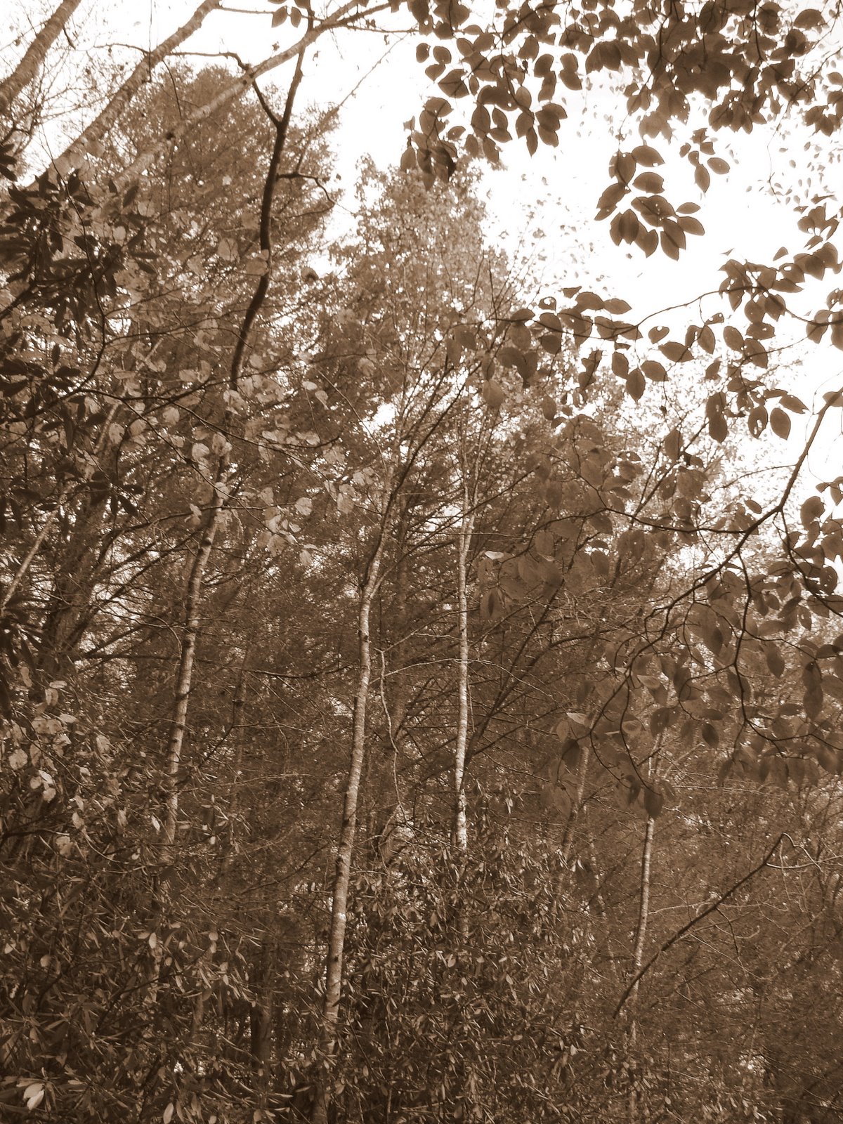 [DSC08859.JPG]