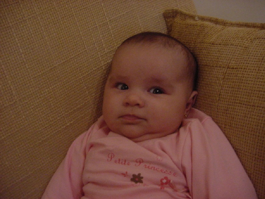 [DSC00006.JPG]