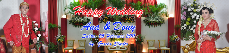 weddingdoniana.blogspot.com