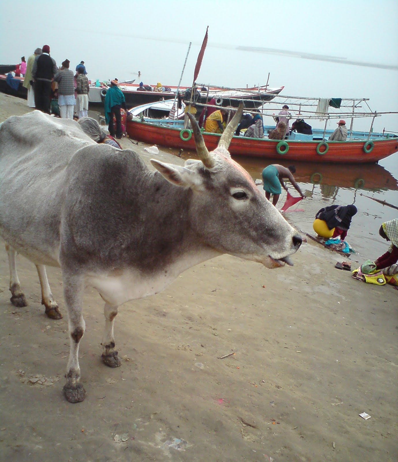 Tulsi+ghat+varanasi+india