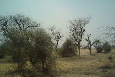 Sand Dunes with Rugged terrain