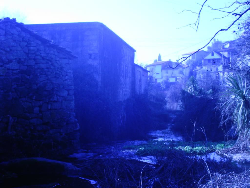 [IMAG0164.JPG]