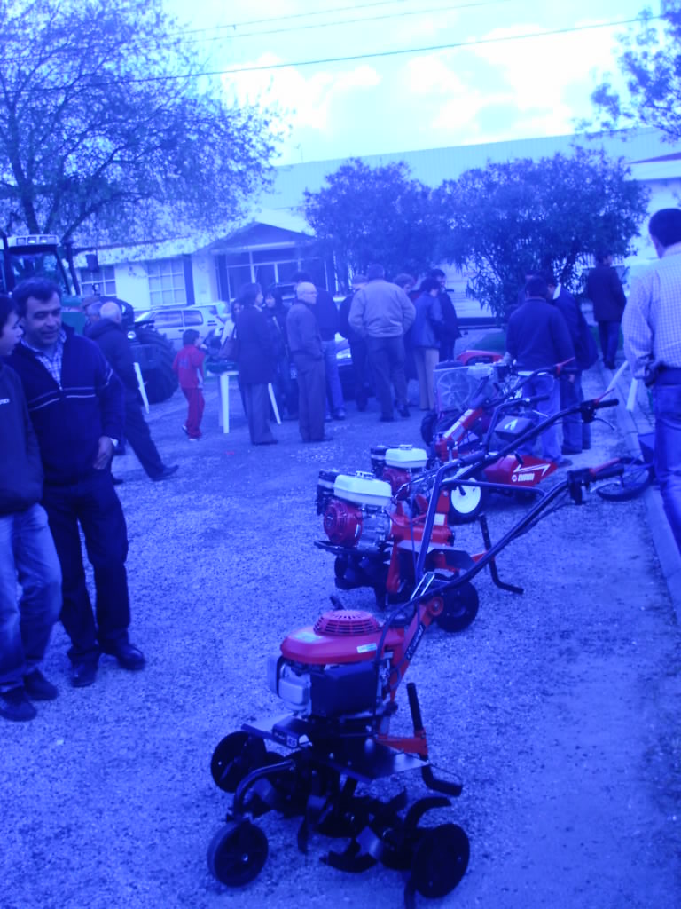[IMAG0206.JPG]