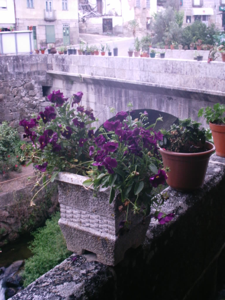 [IMAG0034.JPG]