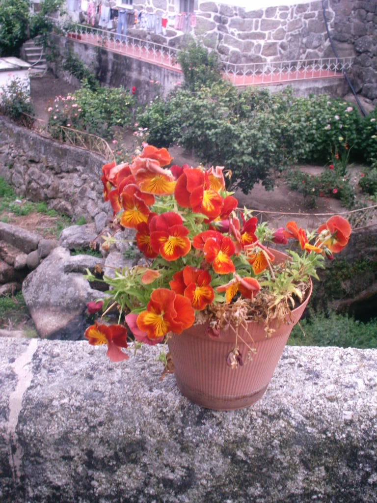 [IMAG0032.JPG]