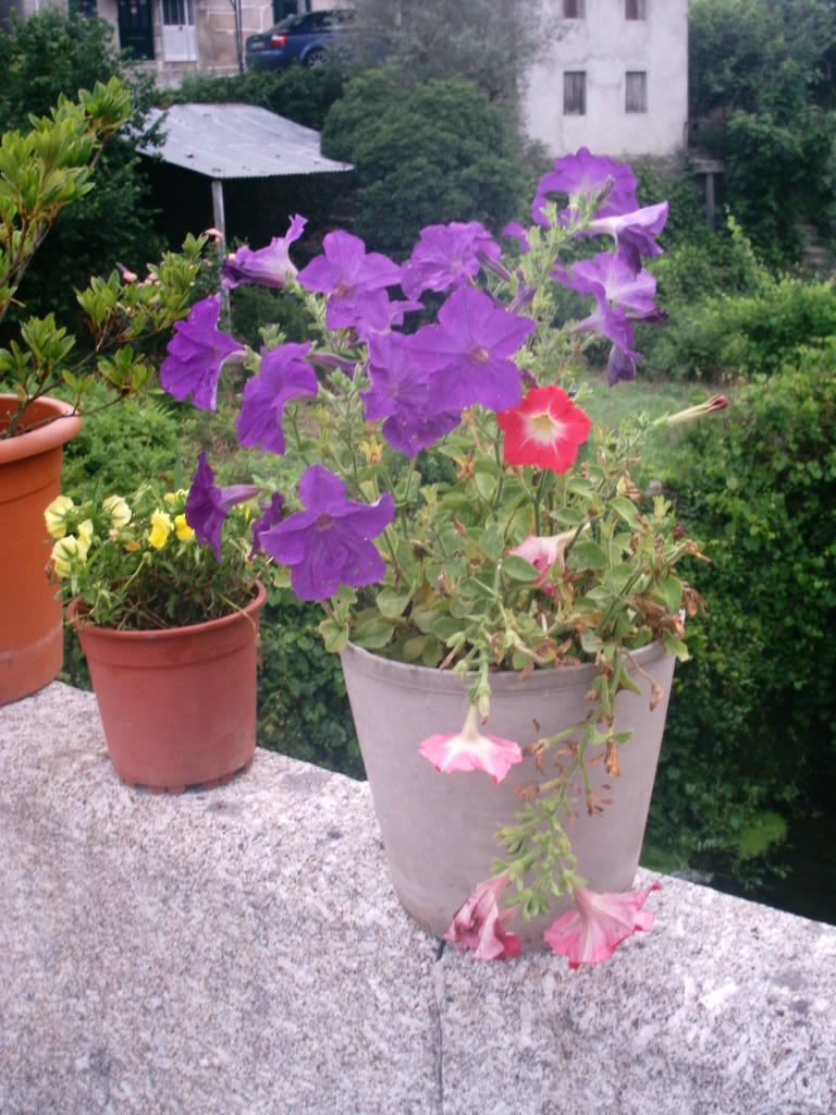 [IMAG0042.JPG]