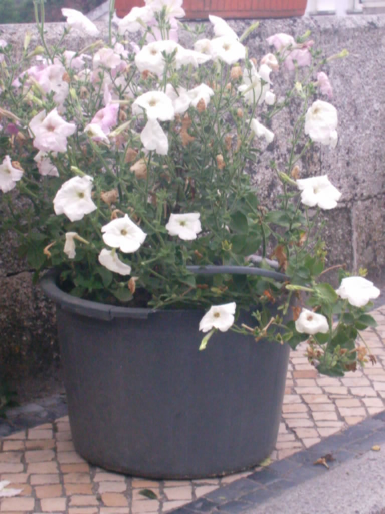 [IMAG0055.JPG]