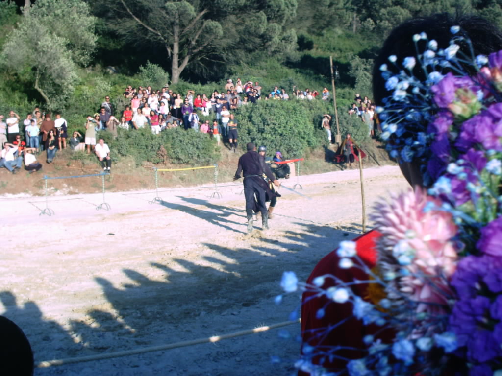 [IMAG0661.JPG]