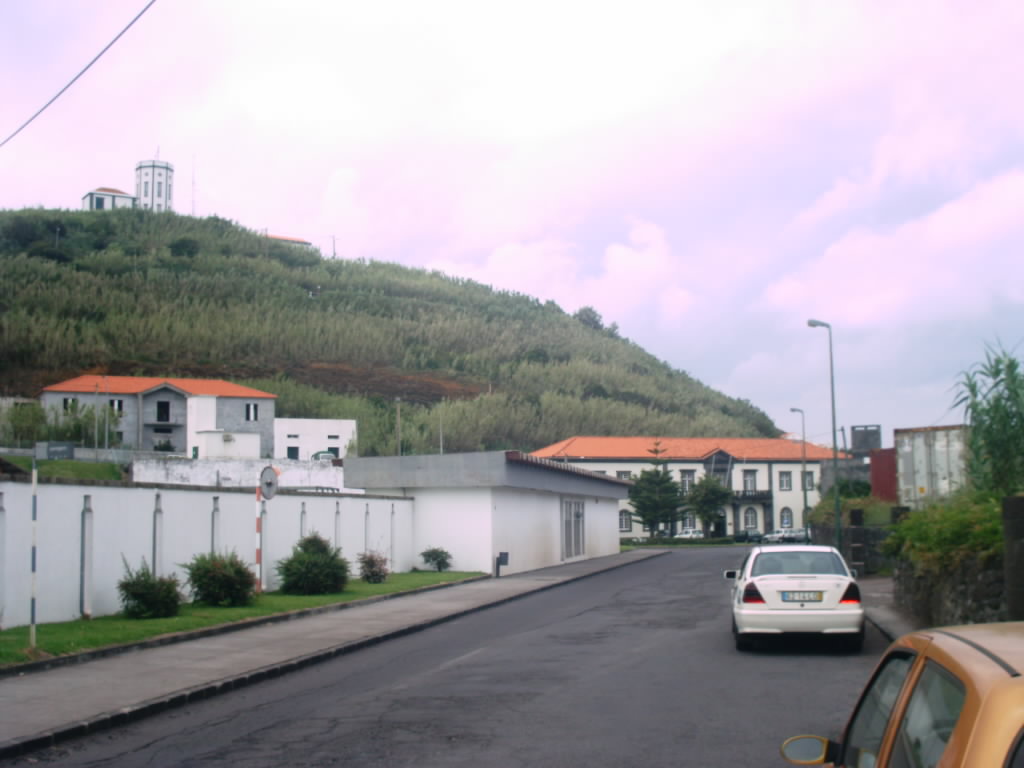 [IMAG0268.JPG]