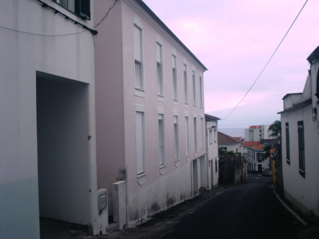 [IMAG0230.JPG]