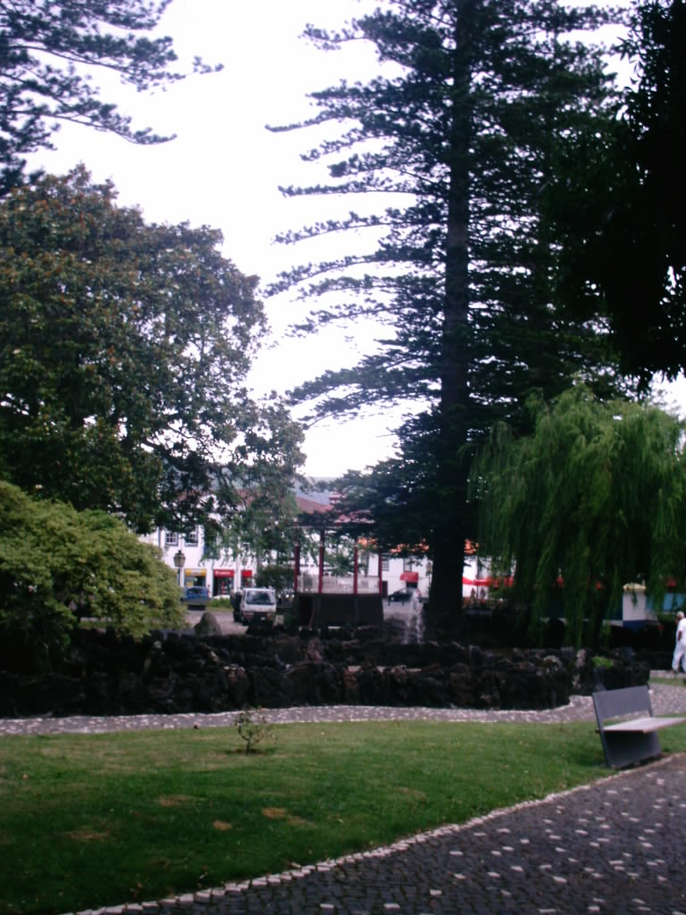 [IMAG0221.JPG]