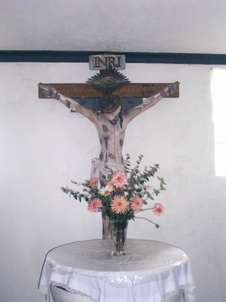 [IMAG0065.JPG]