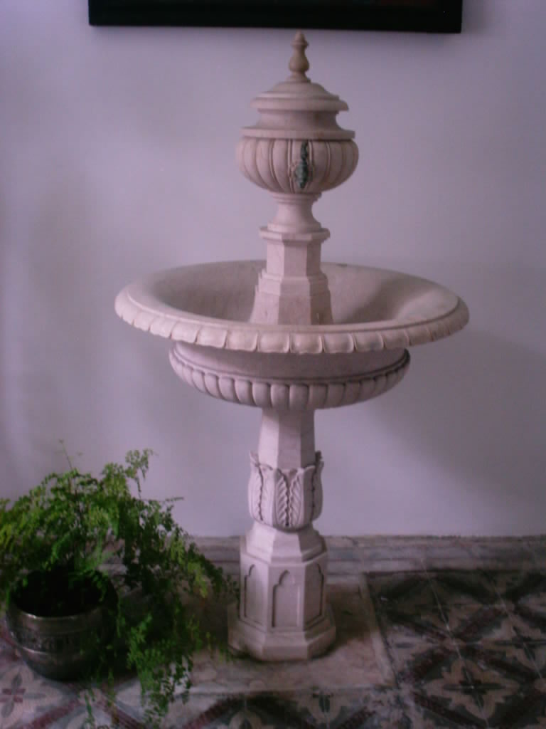 [IMAG0123.JPG]