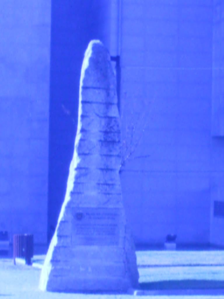 [IMAG0139.JPG]