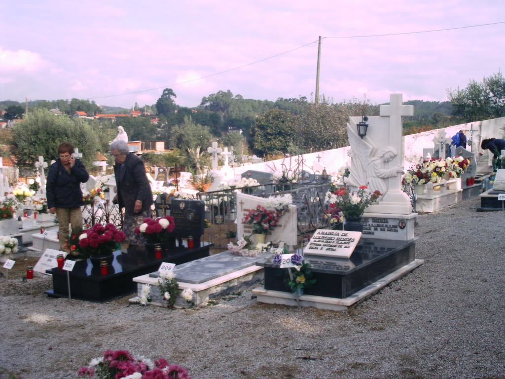 [IMAG0007.JPG]