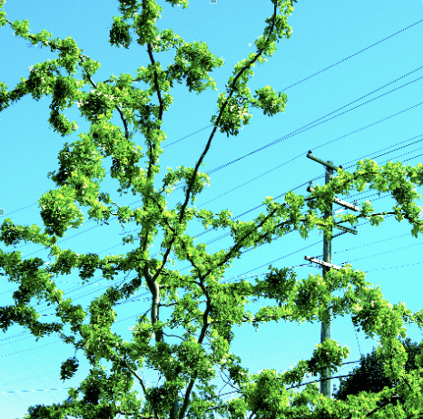 Habit of Art: November 2009