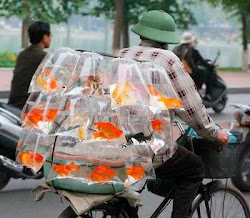 Mobile Goldfish