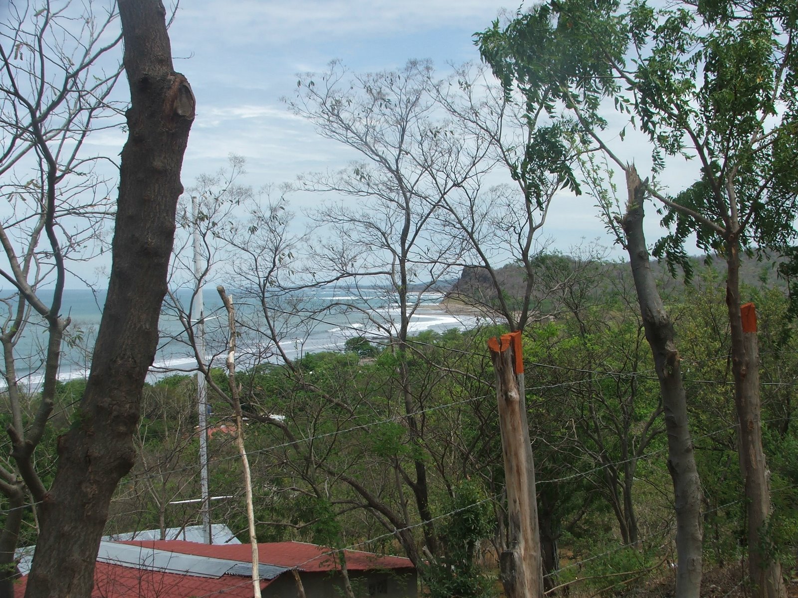 [DSCF8529.JPG]