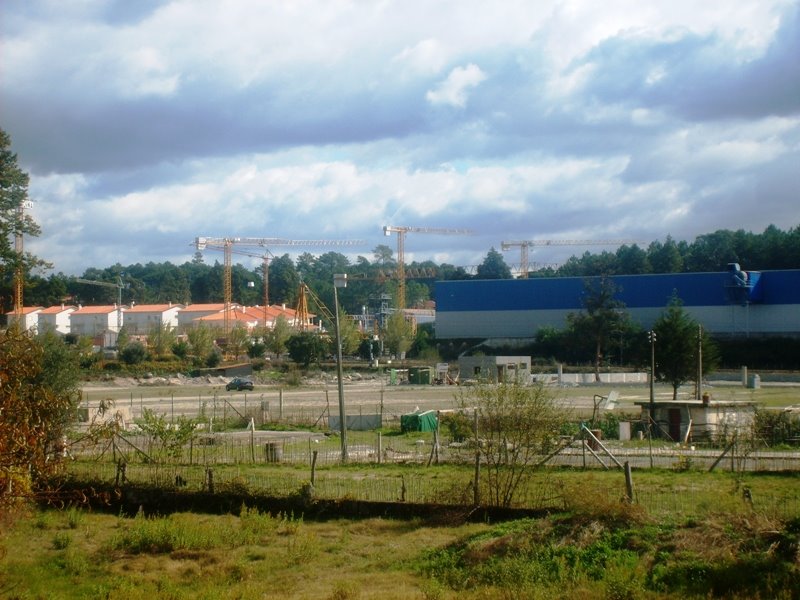 [S5003884.JPG]