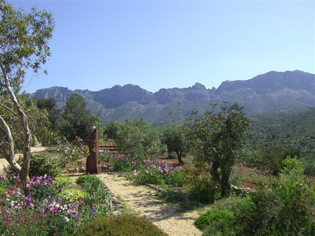 Shambhala: Jardín de los lirios: otro lugar con encanto.