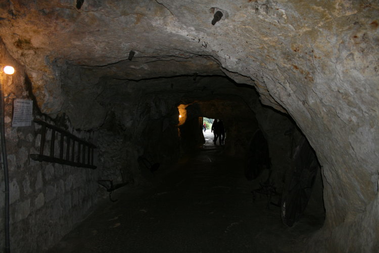 [IMG_0010.jpg]