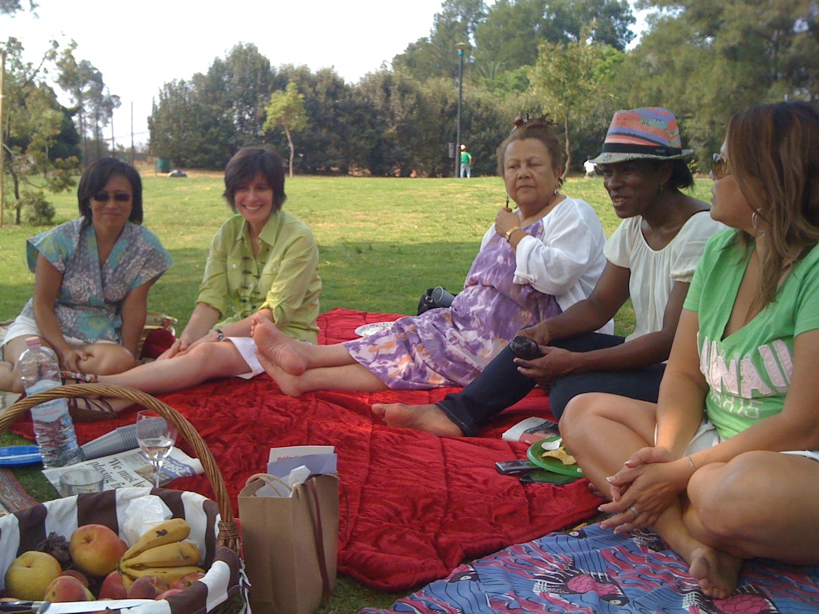 Our South African Adventure Picnic in the Park