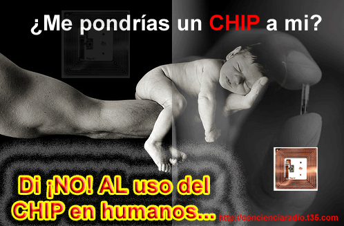 [baby_chip.GIF]