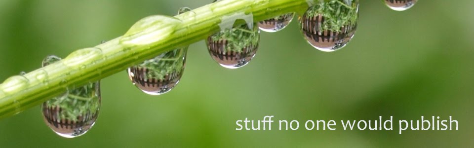 Stuff No One Would Publish