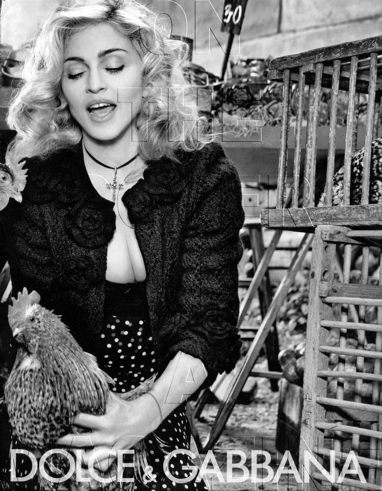 Photographer Steven Klein Brings Out Madonna's Best For 2010 Dolce &  Gabbana Ad Campaign
