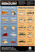 Kandungan Merkuri Ikan