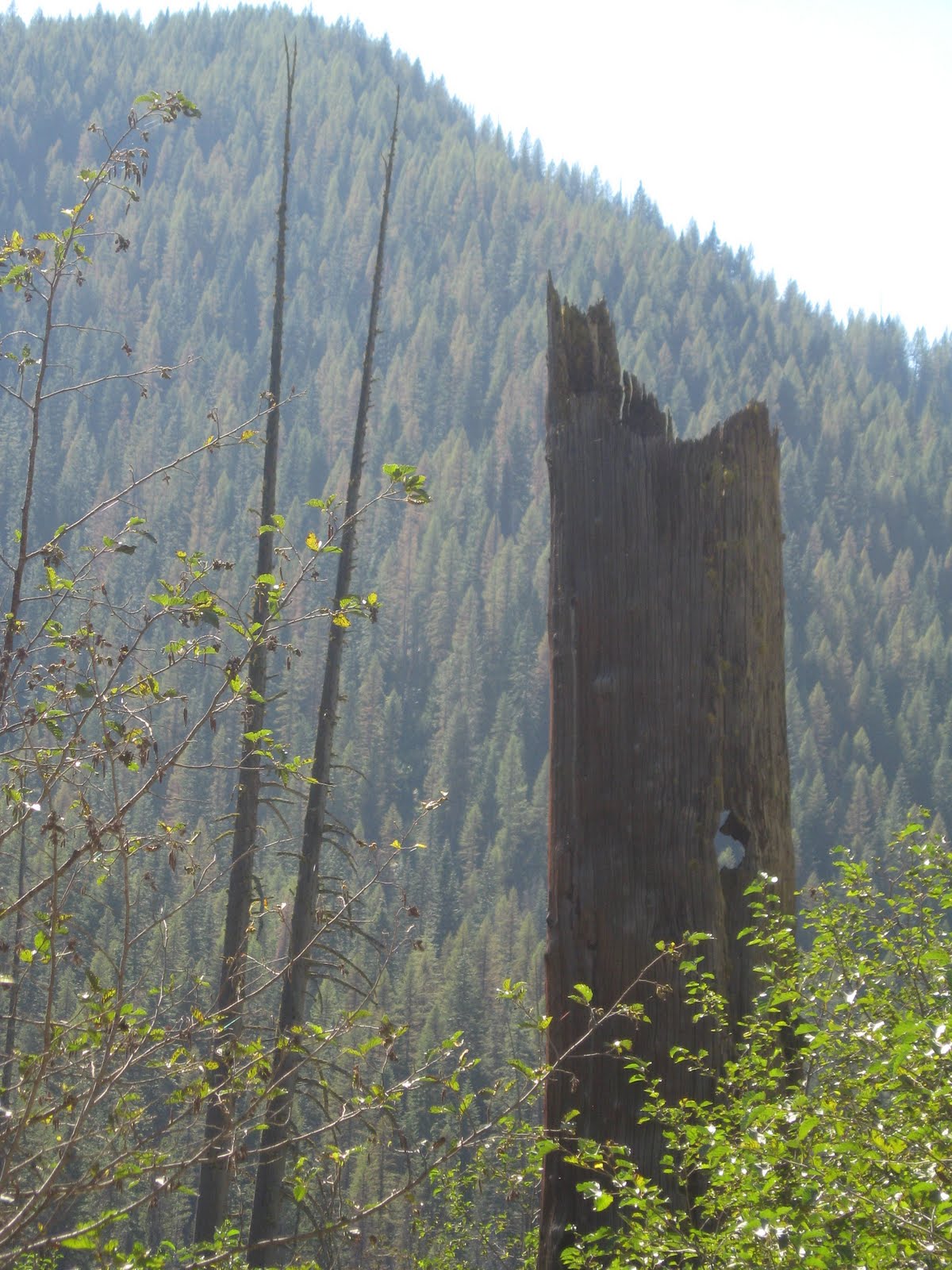 Silver Valley Stories Traveling Moon Pass from Wallace to Avery