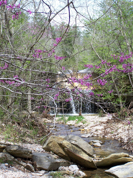 Waterfall below the scalds.