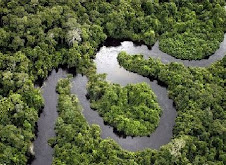 Floresta Amazônica
