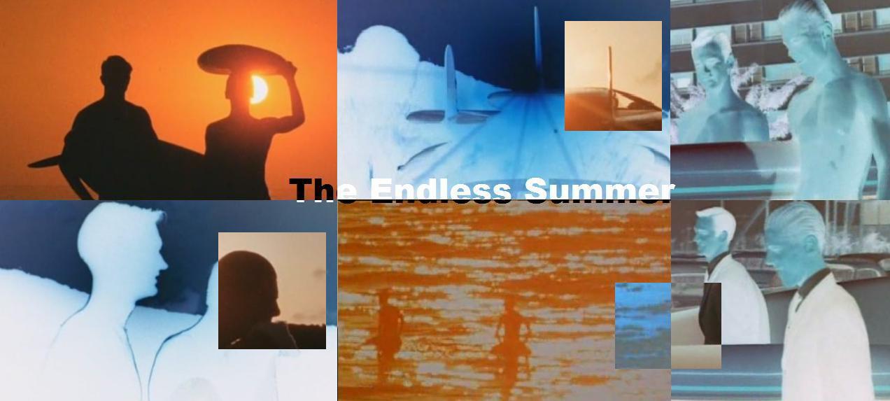 [endless+summer.jpg]