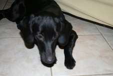 [dalila.com]