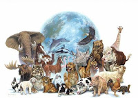 Mundo Animal