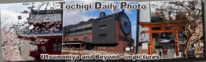 Tochigi Daily Photo