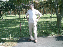 Le mie foto