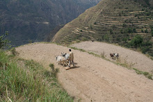 Ploughing