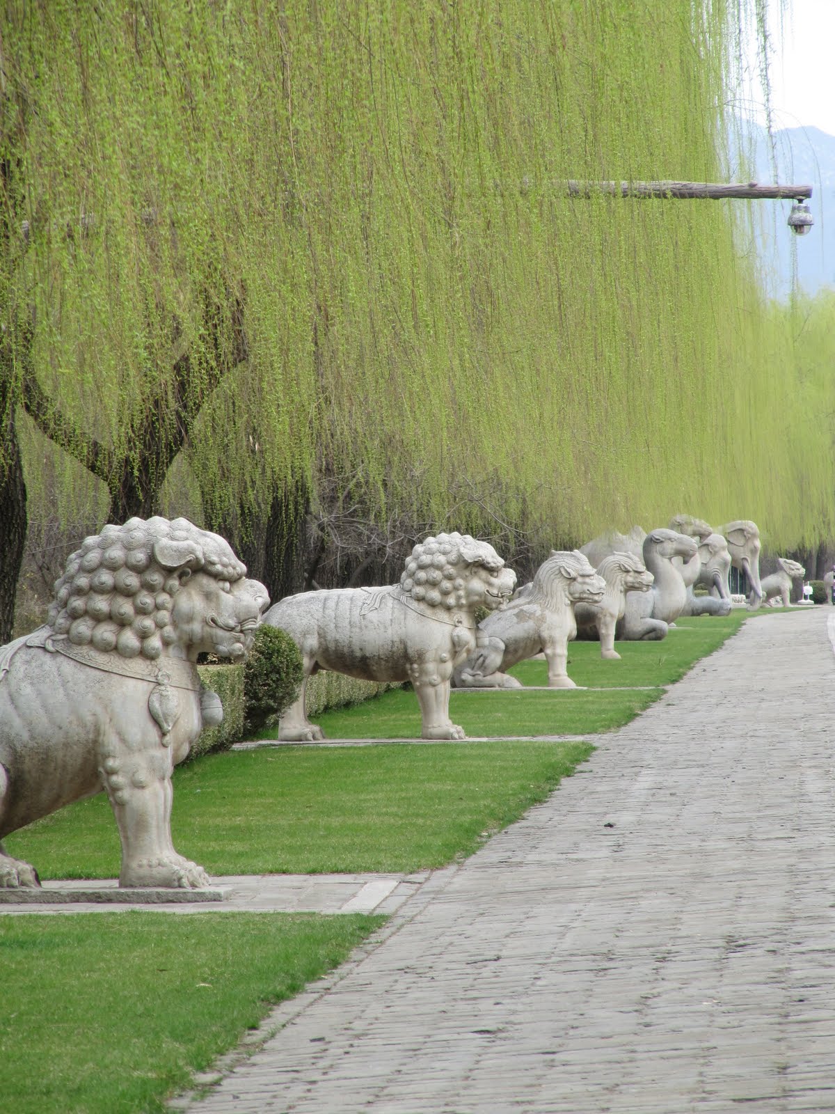 the sacred road leads to the treasure of the ming dynasty The sacred way is a 4-mile long road, which leads to the ming tombs is a 4-mile long road, which leads to the ming tombs in built during the ming dynasty. the sacred road leads to the treasure of the ming dynasty The sacred way is a 4-mile long road, which leads to the ming tombs is a 4-mile long road, which leads to the ming tombs in built during the ming dynasty.