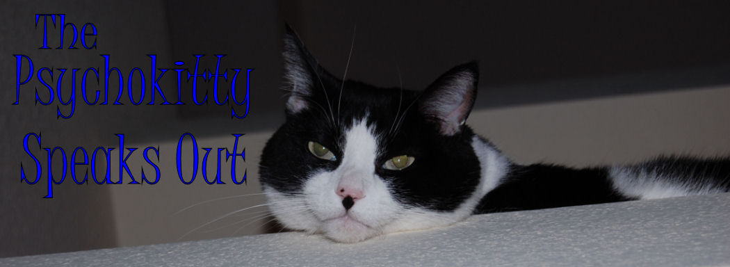 The PsychoKitty Speaks Out