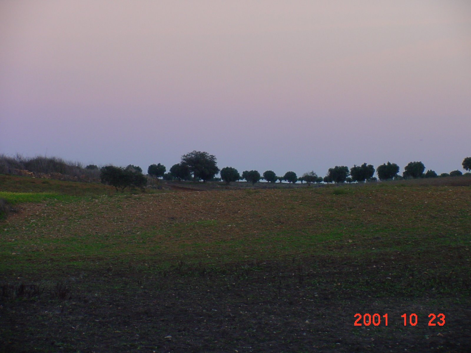[DSC00159.JPG]