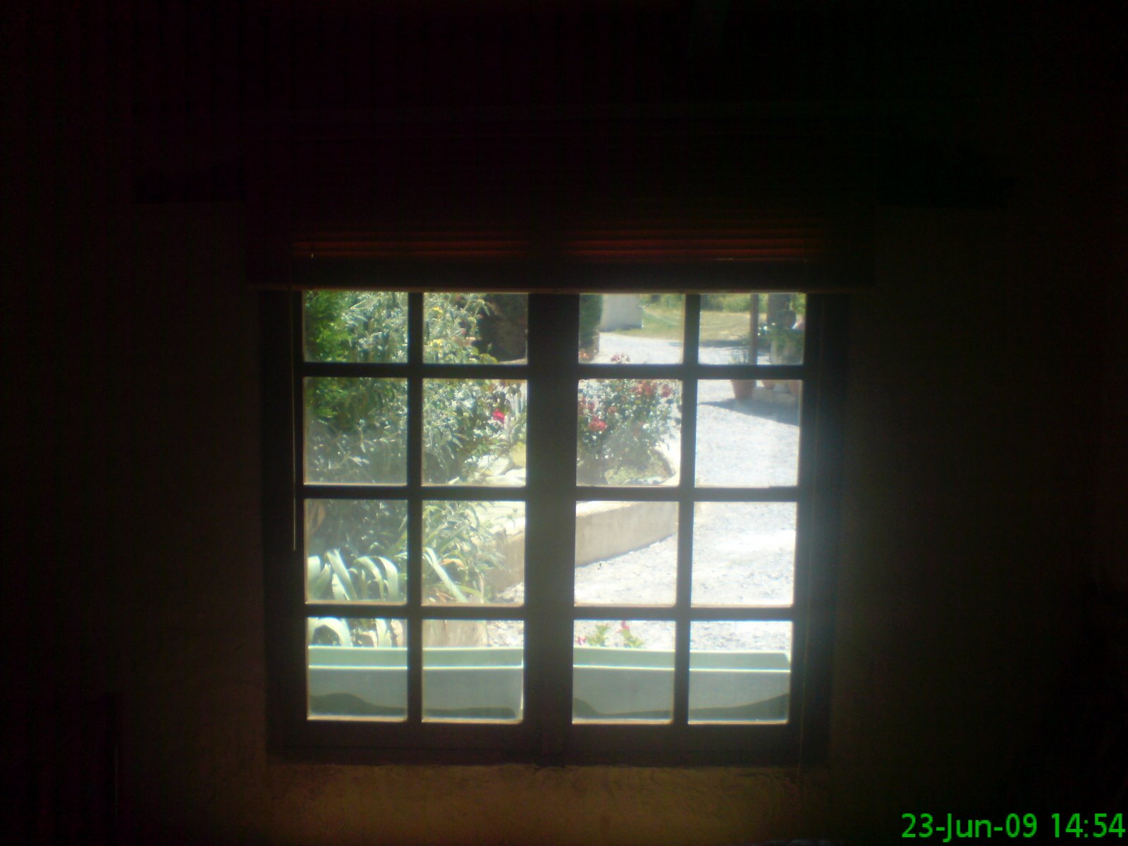 [DSC04618.JPG]