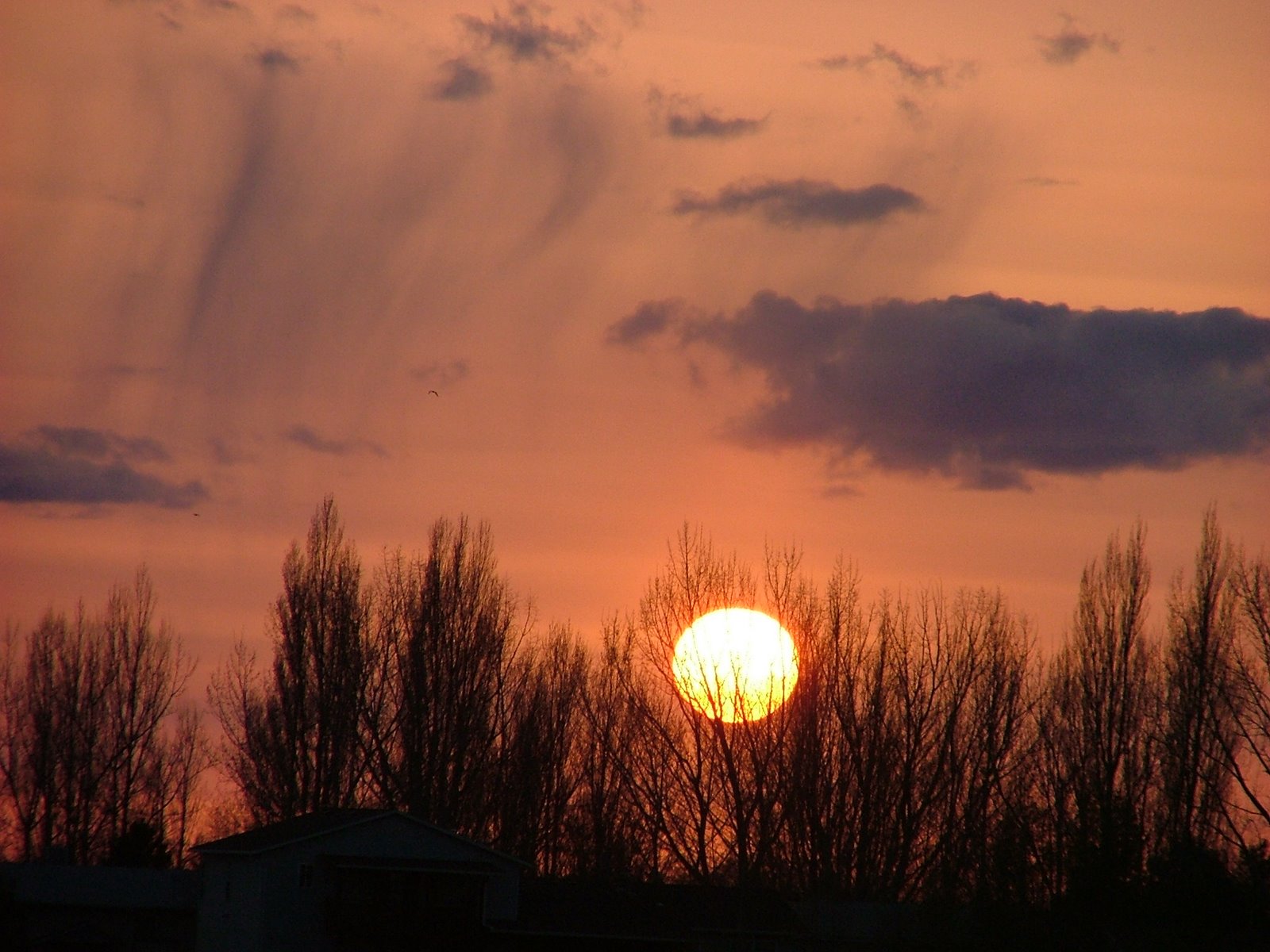 Beautiful Sky