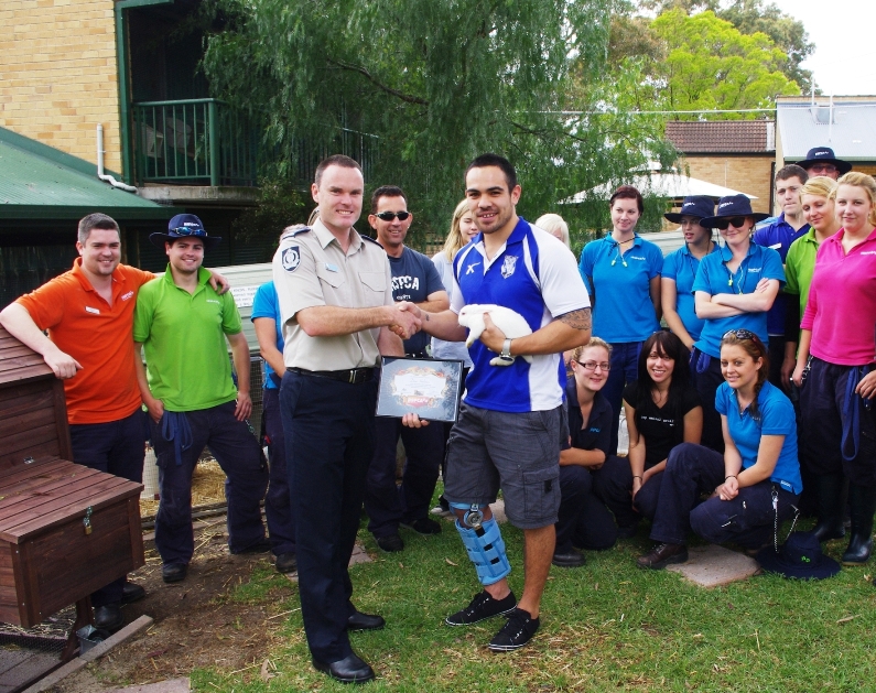 Rspca Nsw