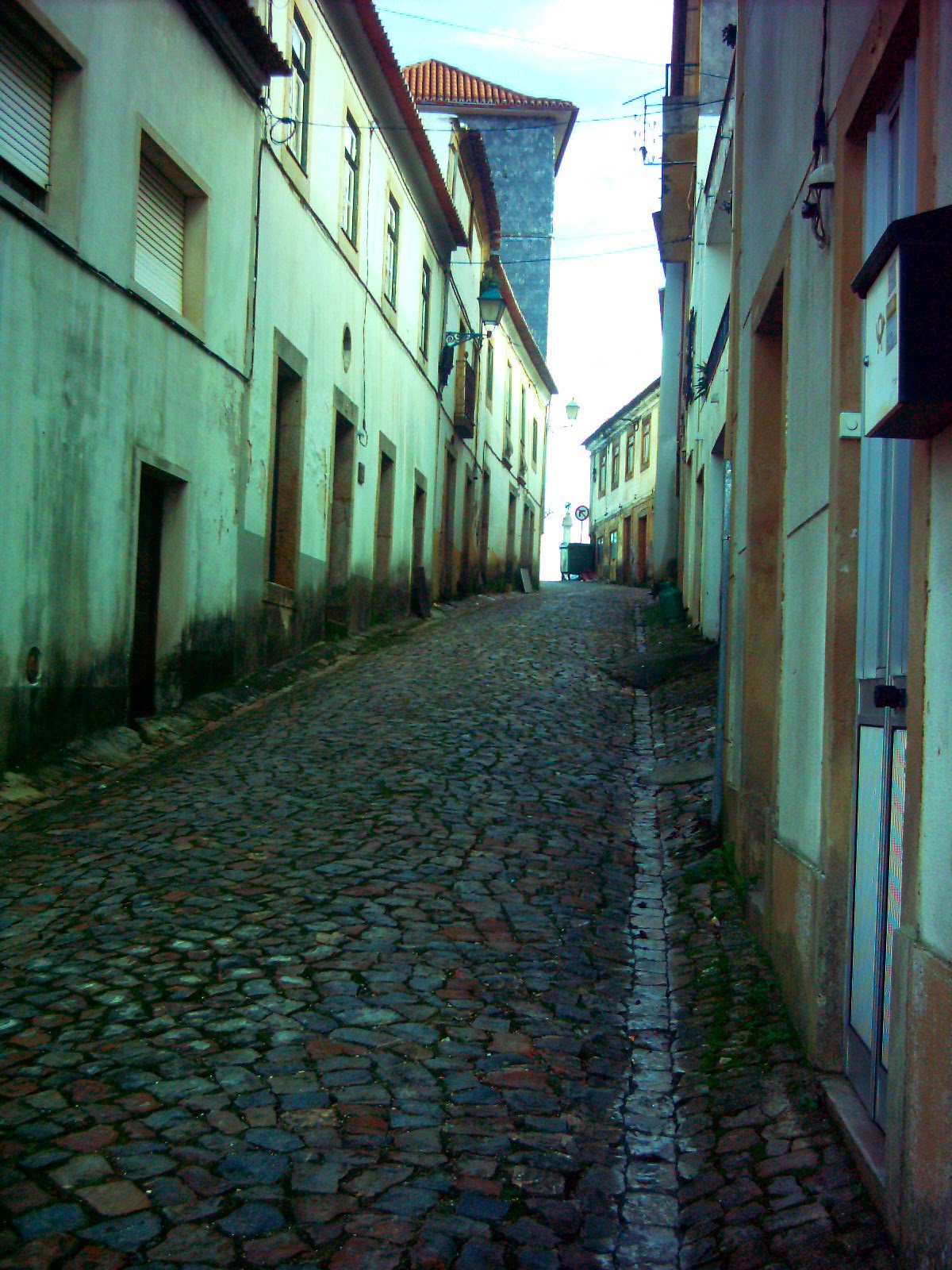 [IMAG0008.jpg]